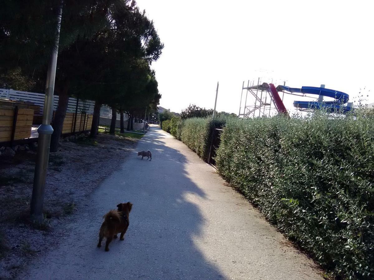 Apartmani Vesna Supetar Buitenkant foto